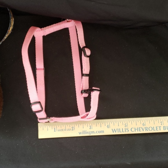 Harness and leash - Picture 4 of 4